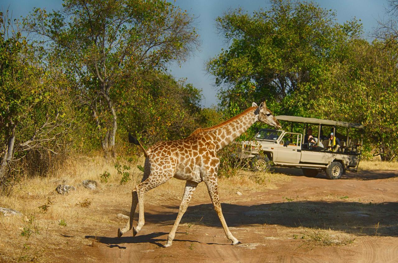 Villa Tlouwana Camp Kasane Exterior foto